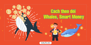 Hướng dẫn theo dõi ví CÁ VOI, ví Smart Money để tìm cơ hội đầu tư