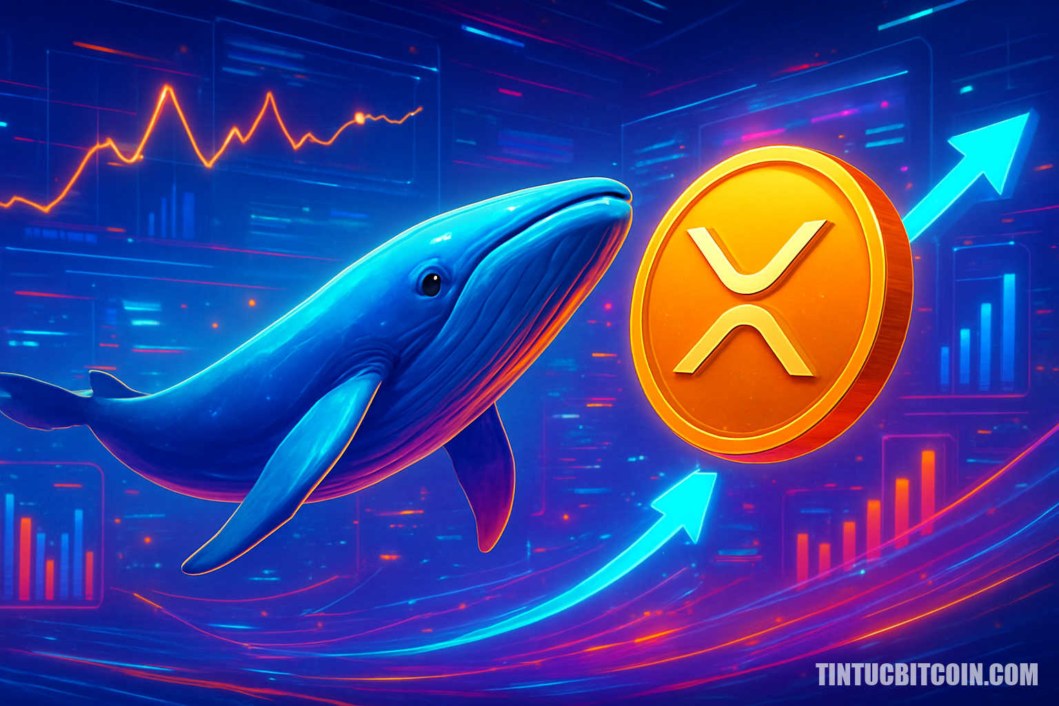 Cá voi và tổ chức thúc đẩy XRP, ATH mới có thể sắp tới