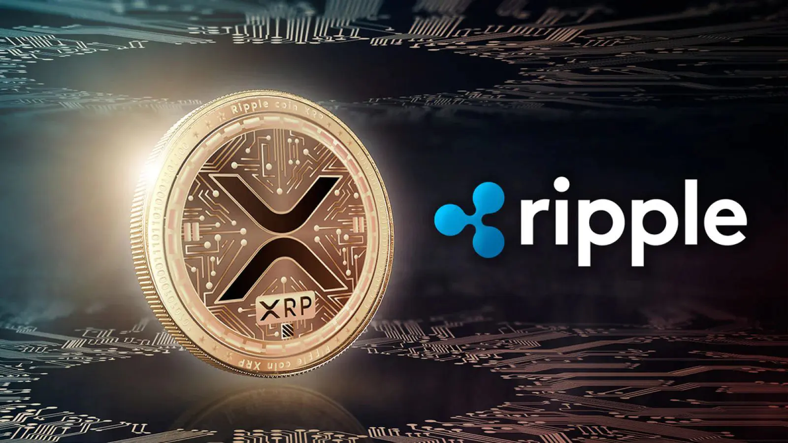 David Schwartz bình luận khi những cáo buộc cũ về Epstein kéo Ripple và XRP trở lại tâm điểm chú ý
