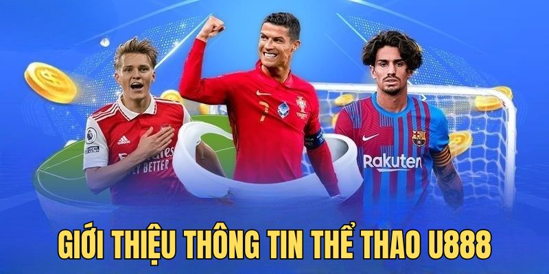 Giới thiệu thông tin về thể thao tại nhà cái U888